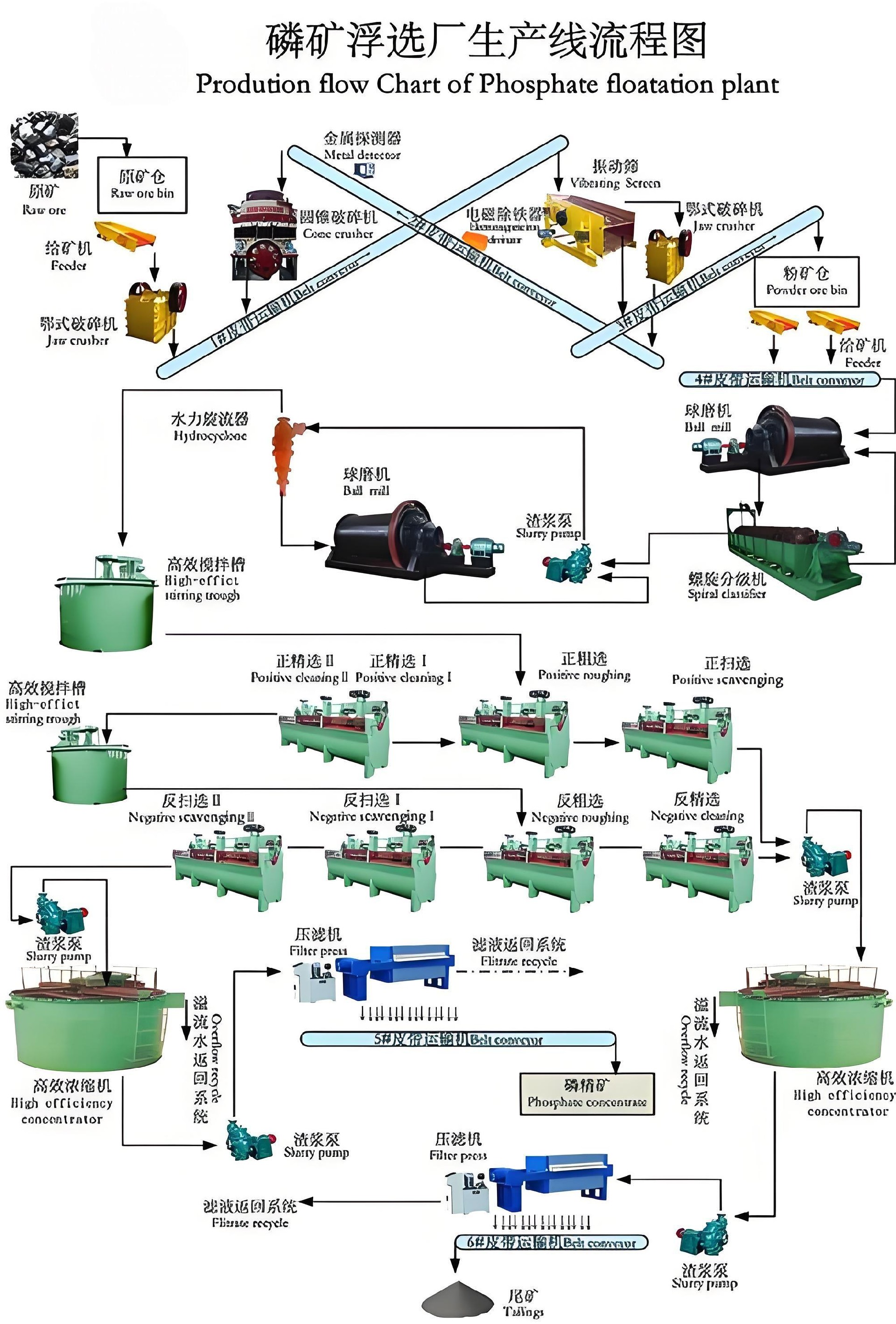phosphate flotation beneficiation